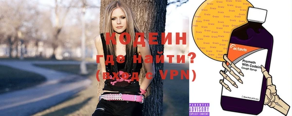 шишки Сатка