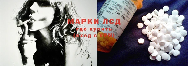 шишки Сатка