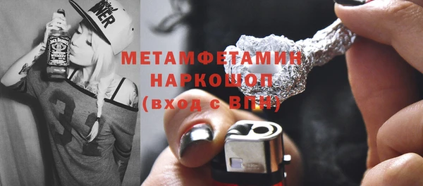 шишки Сатка