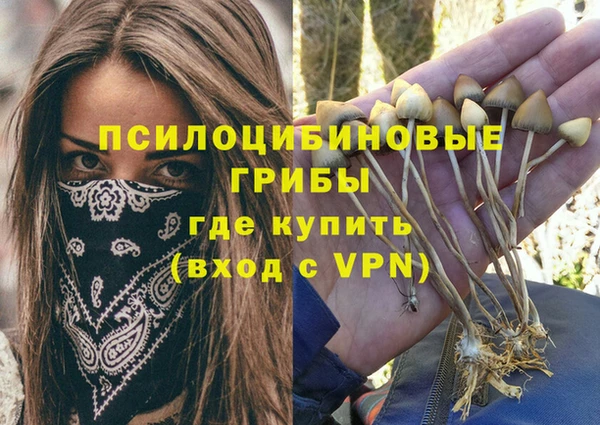 шишки Сатка