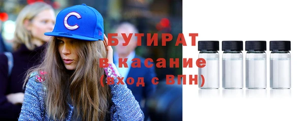 шишки Сатка