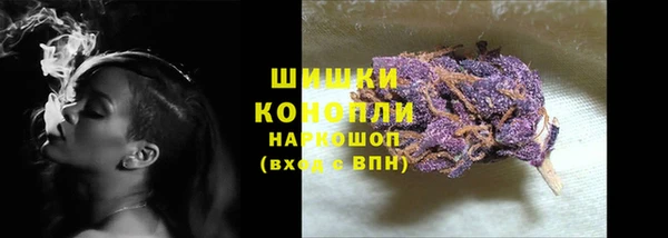 прущие грибы Сафоново