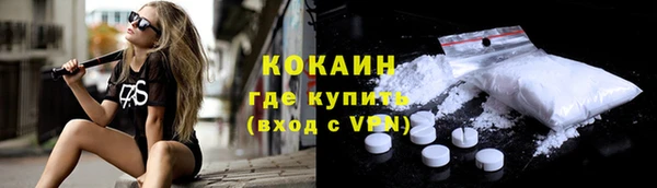 шишки Сатка
