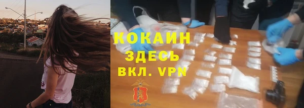 прущие грибы Сафоново