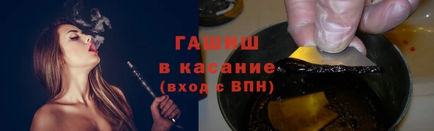 прущие грибы Сафоново