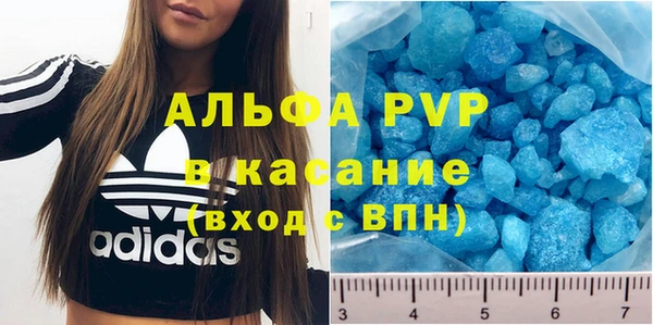 прущие грибы Сафоново