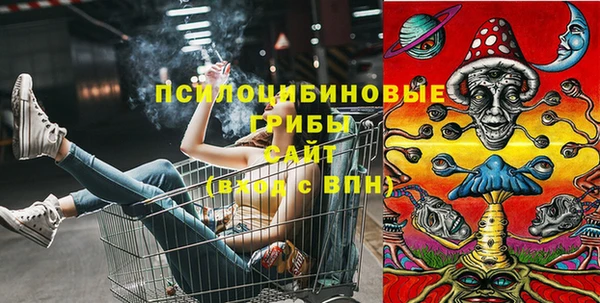 прущие грибы Сафоново