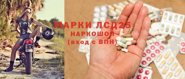 прущие грибы Сафоново
