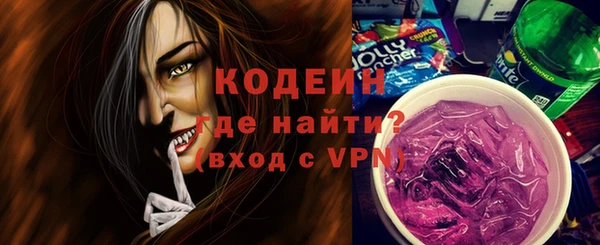 шишки Сатка