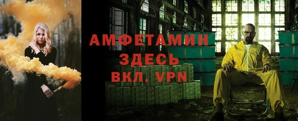 прущие грибы Сафоново