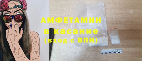 шишки Сатка