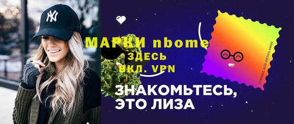 шишки Сатка