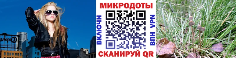 Псилоцибиновые грибы ЛСД  Купить  Азнакаево 